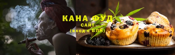 метадон Богданович