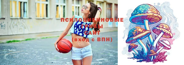 jwh Богородицк