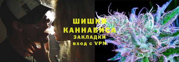 метадон Богданович