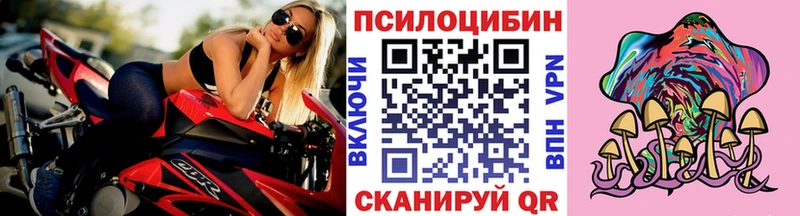 Псилоцибиновые грибы Magic Shrooms  Гудермес 